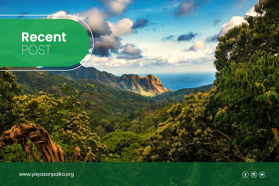 Community-Empowerment-for-Sustainable-Forest-Management-in-Sumatra