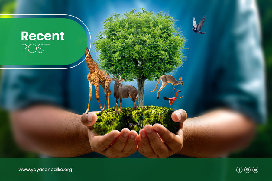 Independent-Conservation-Organizations-in-Indonesia-Roles-and-Impact