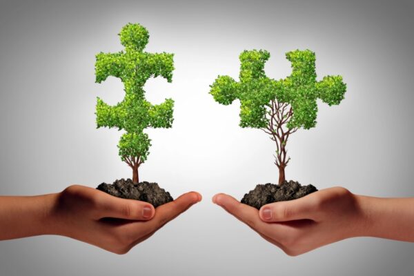 program - Partnerships & Sustainable Funding